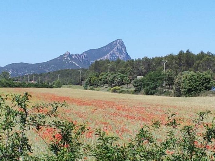 Location de vacances - Chambre d'hôtes à Vacquières - Le Pic Saint Loup