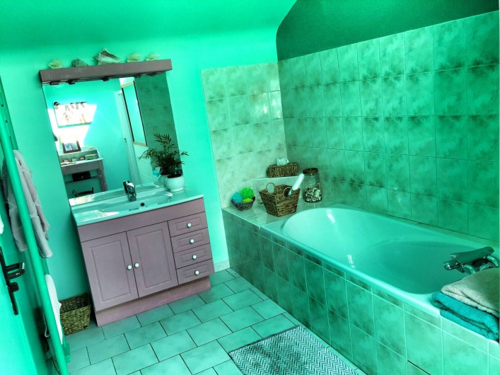 Location de vacances - Gîte à Vicq-sur-Gartempe - Salle de bains