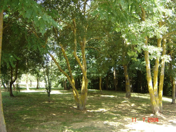 Location de vacances - Chambre d'hôtes à Toulouse