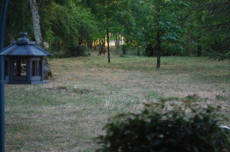 Location de vacances - Gîte à Cosne-Cours-sur-Loire