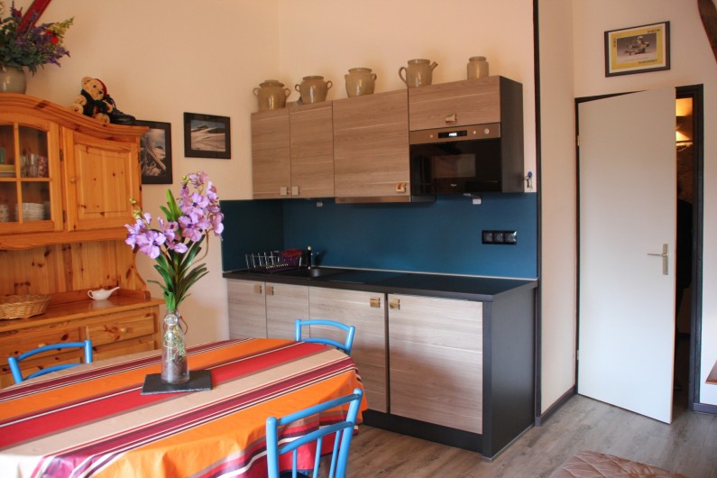 Location de vacances - Appartement à Super Lioran - cuisine salon