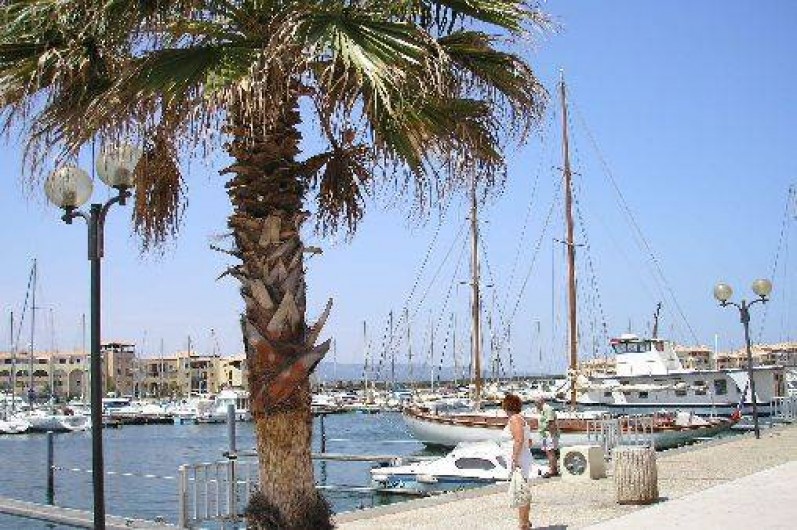 Location de vacances - Appartement à Port Leucate