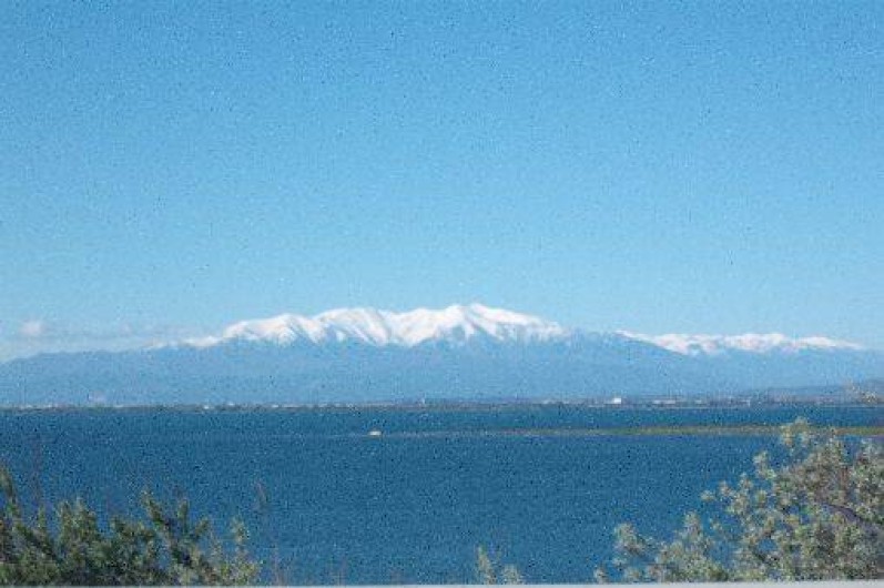 Location de vacances - Appartement à Port Leucate