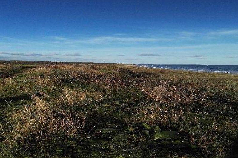 Location de vacances - Studio à Courseulles-sur-Mer