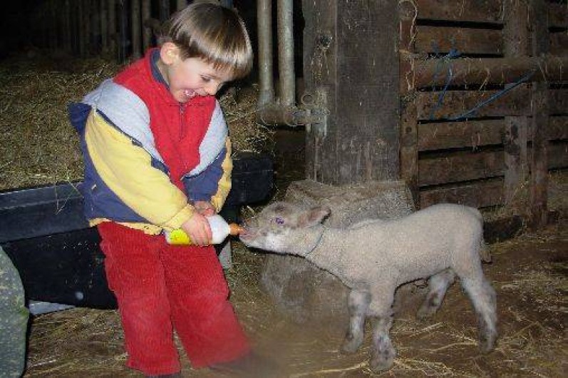 Location de vacances - Gîte à Plouvorn