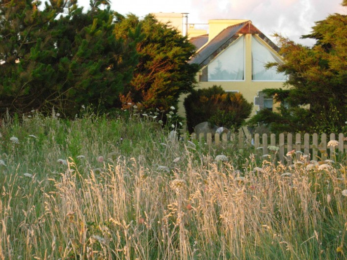 Location de vacances - Villa à Portsall - La maison est posée sur la dune, à 40m des plages, face à la mer