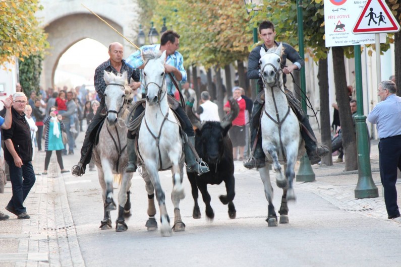 Location de vacances - Villa à Saint-Côme-et-Maruéjols - Course de taureaux.....