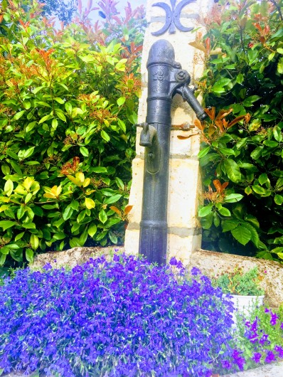 Location de vacances - Gîte à Saint-Front-de-Pradoux - Fontaine de fleurs