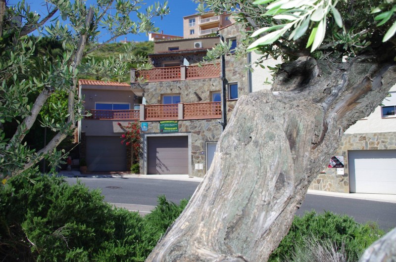 Location de vacances - Gîte à Cerbère - Résidence 3 appartements classés Gîte de France 3 épis