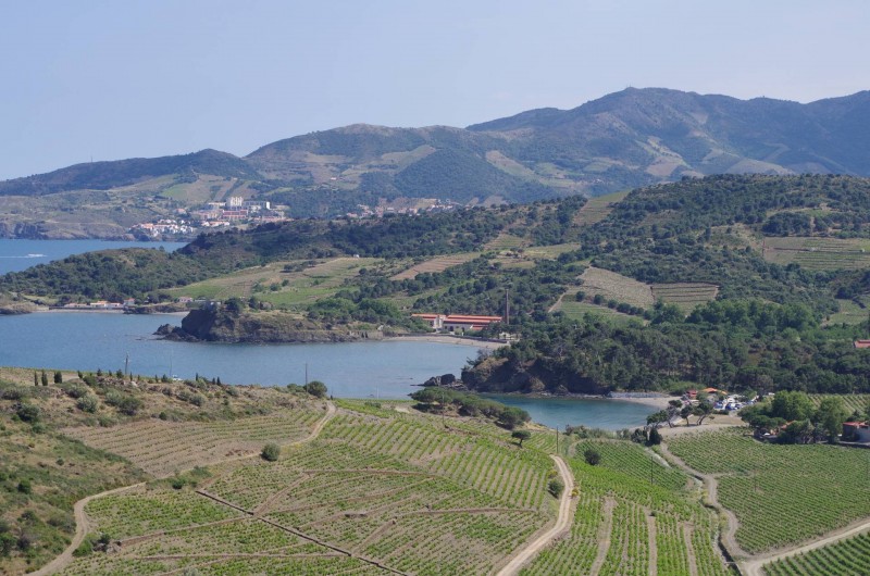 Location de vacances - Gîte à Cerbère - Plaisir de la mer et de la montagne