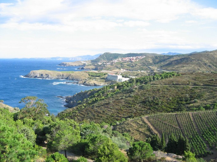 Location de vacances - Gîte à Cerbère - Dernier village français CERBERE après viva ESPANA