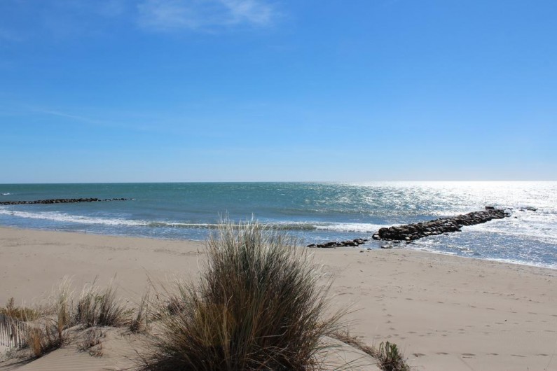 Location de vacances - Gîte à Arles - Les plages sauvages de Camargue