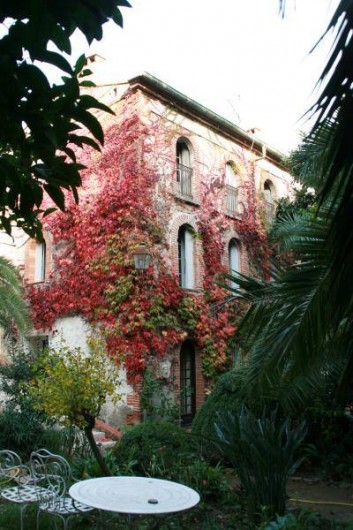 Location de vacances - Appartement à Collioure - vous aurez les 4 fenêtres du 2 ème étage