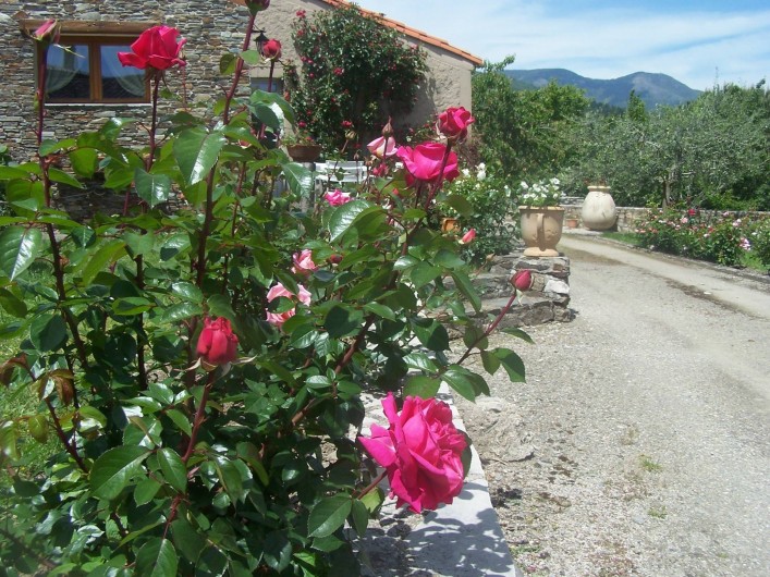 Location de vacances - Maison - Villa à Bréau-et-Salagosse