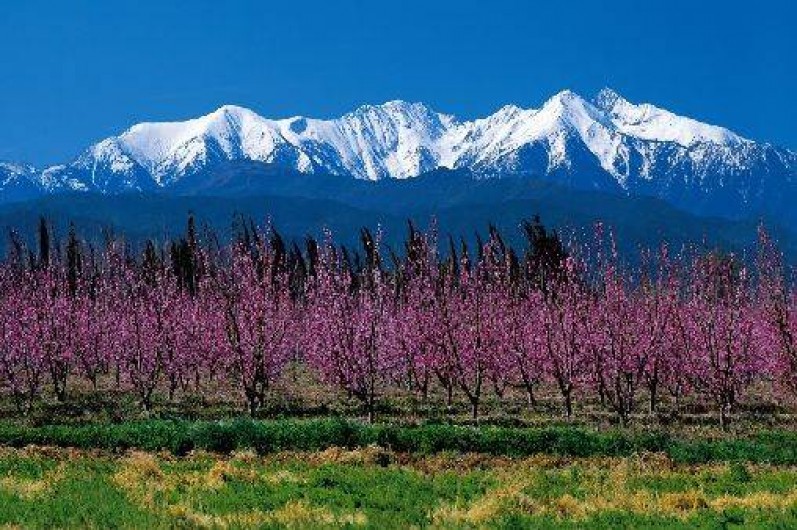 Location de vacances - Appartement à Amélie-les-Bains-Palalda