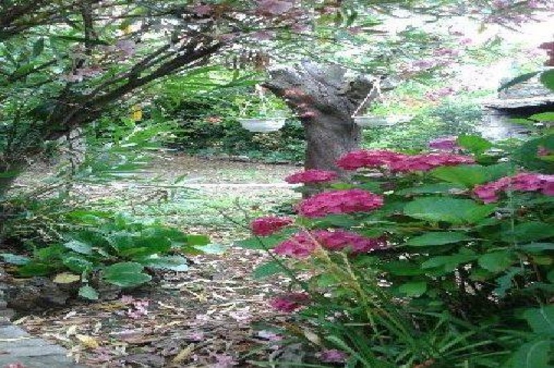 Location de vacances - Villa à Le Poujol-sur-Orb