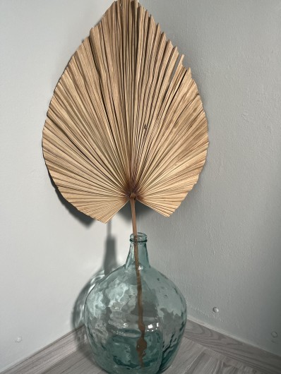 Location de vacances - Villa à Rivière-Pilote