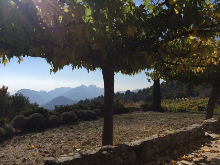 Location de vacances - Maison - Villa à Suzette - LE CLOS