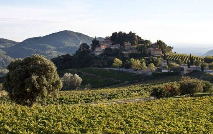 Location de vacances - Maison - Villa à Suzette