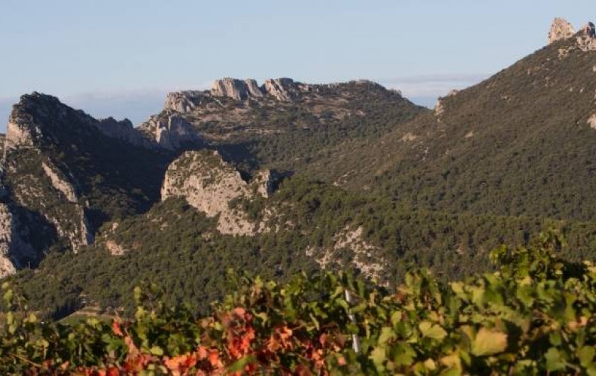 Location de vacances - Maison - Villa à Suzette