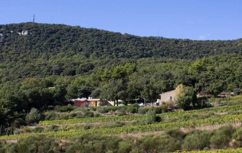 Location de vacances - Maison - Villa à Suzette