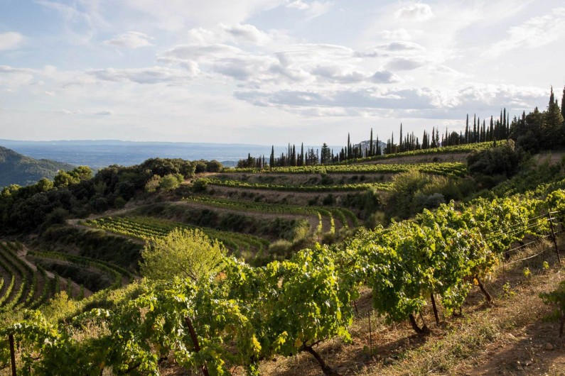 Location de vacances - Maison - Villa à Suzette
