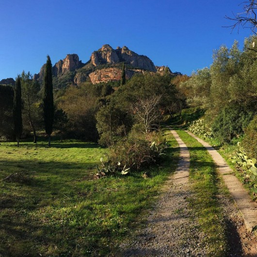 Location de vacances - Villa à Roquebrune-sur-Argens - Route d'accès au"Bastidon"
