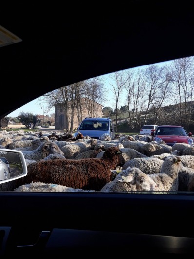 Location de vacances - Villa à Roquebrune-sur-Argens