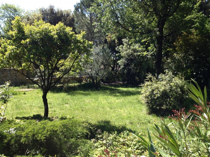 Location de vacances - Maison - Villa à Arpaillargues-et-Aureillac - jardin arboré