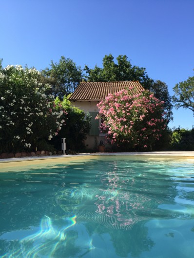 Location de vacances - Maison - Villa à Arpaillargues-et-Aureillac - piscine sud
