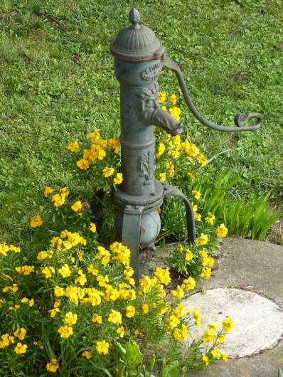 Location de vacances - Appartement à Toulouse - Jardin fleuri