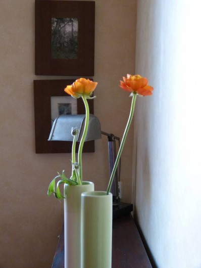 Location de vacances - Appartement à Toulouse