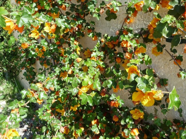 Location de vacances - Gîte à Aubres