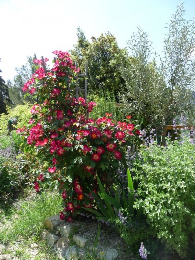 Location de vacances - Gîte à Aubres