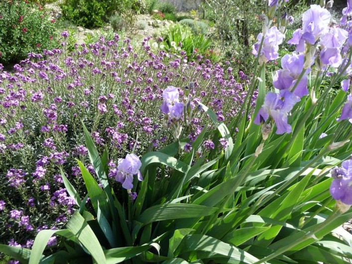 Location de vacances - Gîte à Aubres