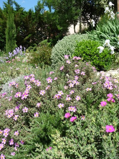 Location de vacances - Gîte à Aubres