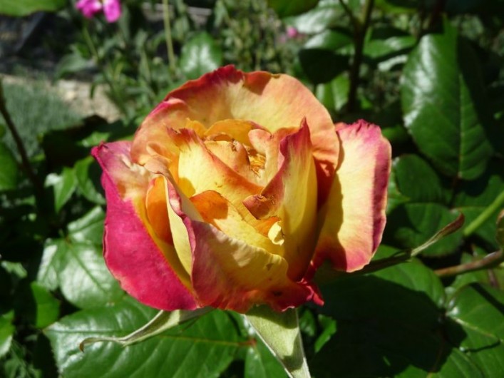 Location de vacances - Gîte à Aubres