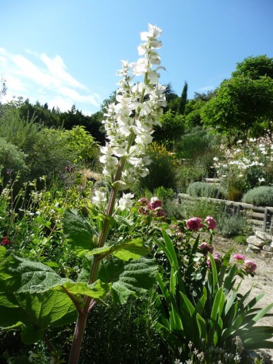 Location de vacances - Gîte à Aubres