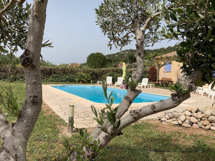 Location de vacances - Villa à Saint-Martin-d'Ardèche - vue de la piscine