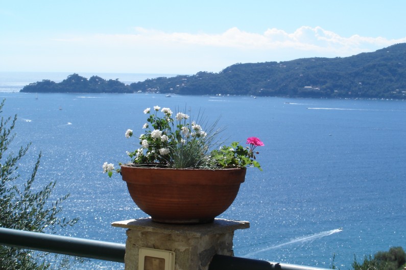 Location de vacances - Villa à Zoagli - Vue panoramique du terrasse a manger