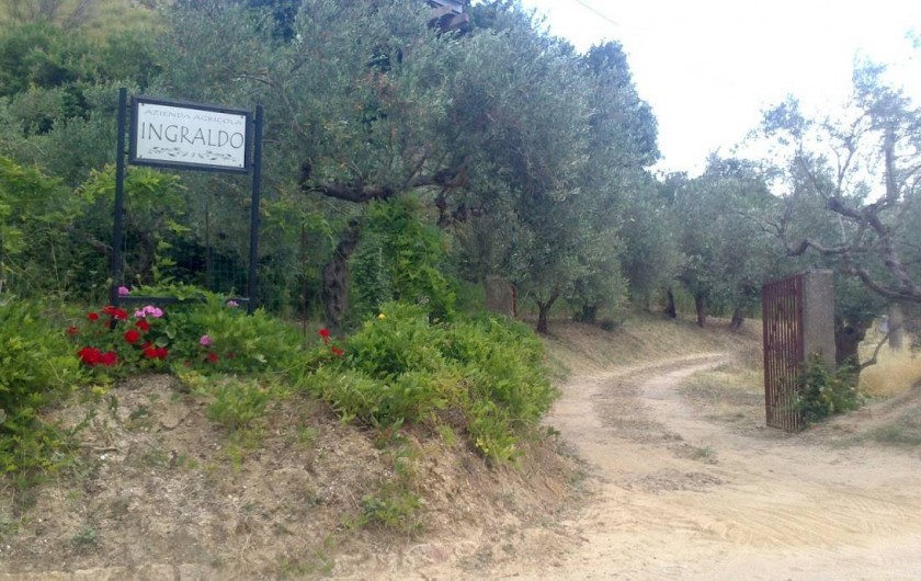 Location de vacances - Villa à Calatafimi - Entrée de la propriété  sur la route de état 113