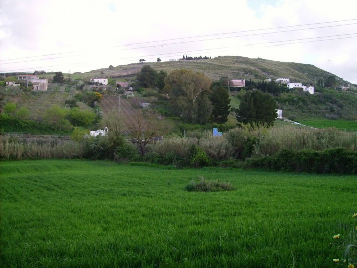 Location de vacances - Villa à Calatafimi - un champ de blé sur la propriété