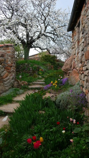 Location de vacances - Camping à Saint-Julien-du-Gua - L’escalier d’accès aux gîtes embelli par les fleurs du printemps