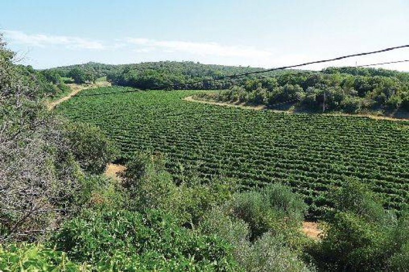 Location de vacances - Maison - Villa à Uzès