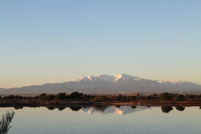 Location de vacances - Appartement à Le Barcarès