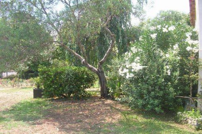 Location de vacances - Appartement à Sainte-Maxime