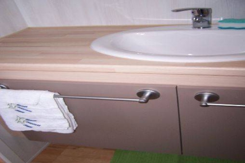 Location de vacances - Bungalow - Mobilhome à Saint-Denis-d'Oléron - lavabo dans salle d'eau