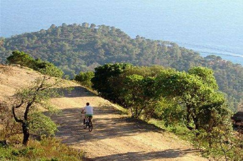 Location de vacances - Maison - Villa à Collobrières