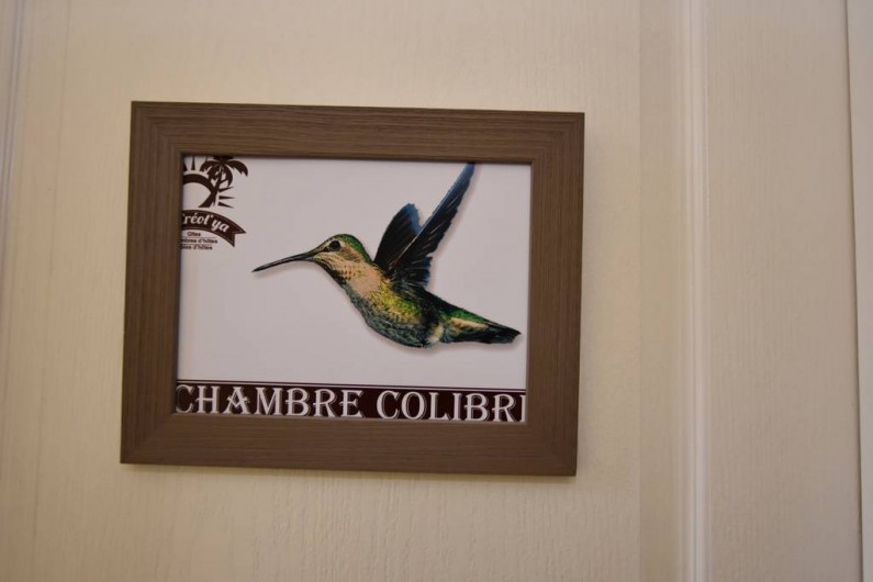 Location de vacances - Chambre d'hôtes à Lalinde - Chambre Colibri
