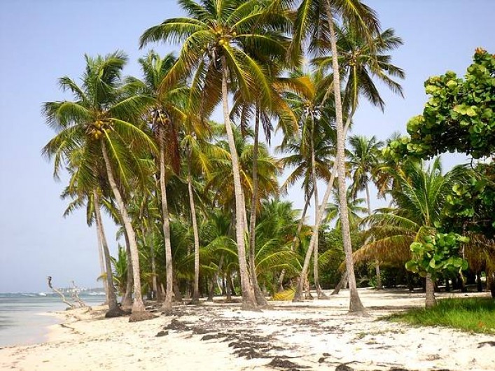 Location de vacances - Bungalow - Mobilhome à Sainte-Anne - Plage Bois Jolan